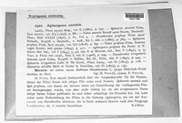 Image Associated With the Occurence